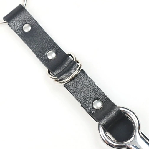 EverydayUse Anal with 5853 Kinky Collar Leash and Hook 0802